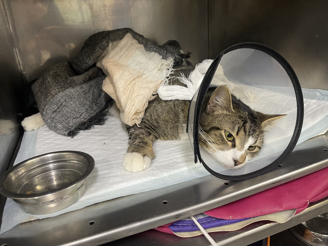 61D953EE-CAA5-4E79-B31C-020397D73BAC