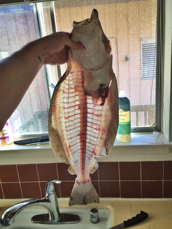 IMG_3727