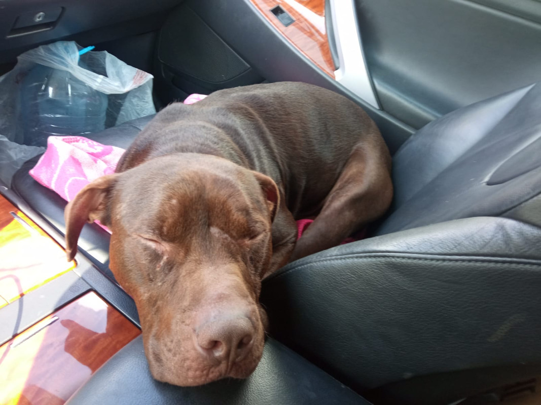 161F41A8-5FE3-4D76-AA79-920320622A6F