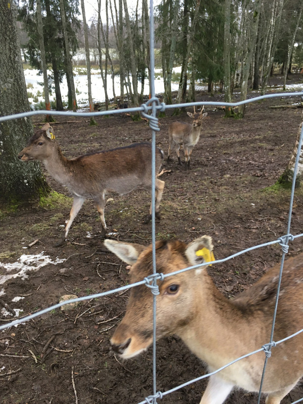 008B1F29-9E31-4C77-9255-12F8B819E28C