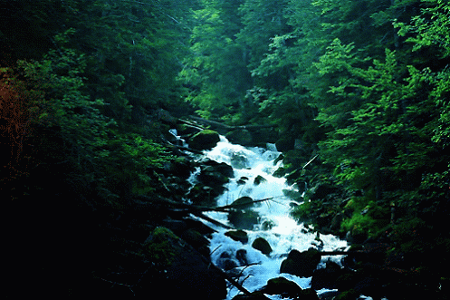 Travel-10