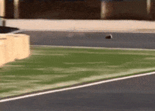 52.gif