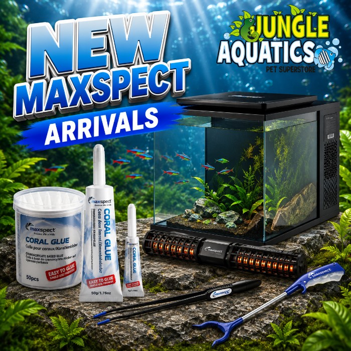 Maxspect-New-Arrivals-26.jpg