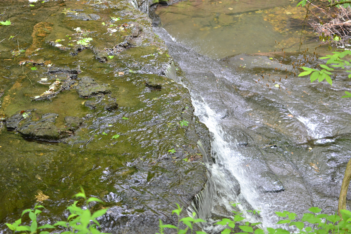 DSC-8694.jpg
