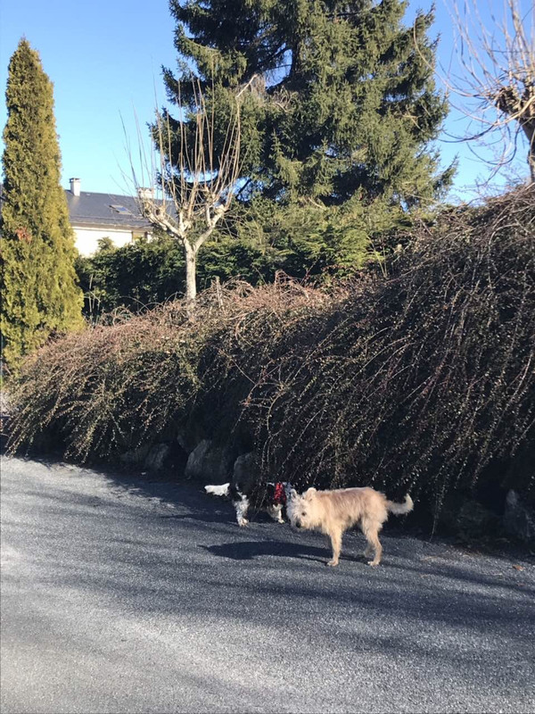 3CDFC9AB-1C04-4488-96AF-1C92F996D622