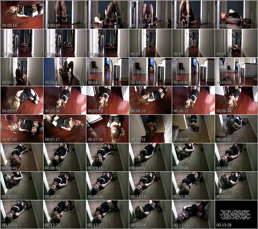 bound_and_gagged_video_1045.wmv
