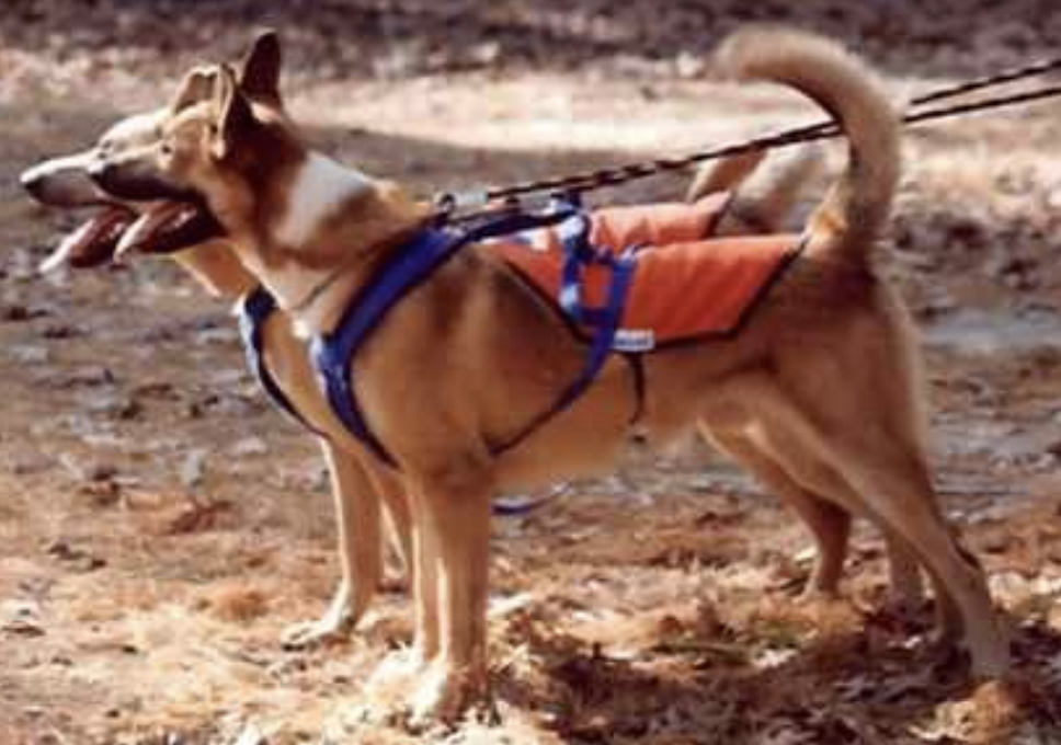 Screenshot 2025 11 24 at 10 30 41 AM