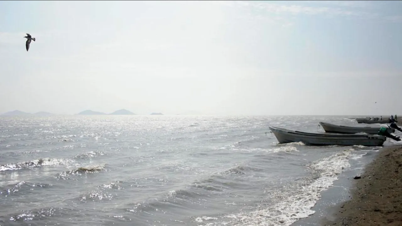 Investiga el hallazgo de ocho cuerpos en la playa de Oaxaca, posiblemente migrantes asiáticos