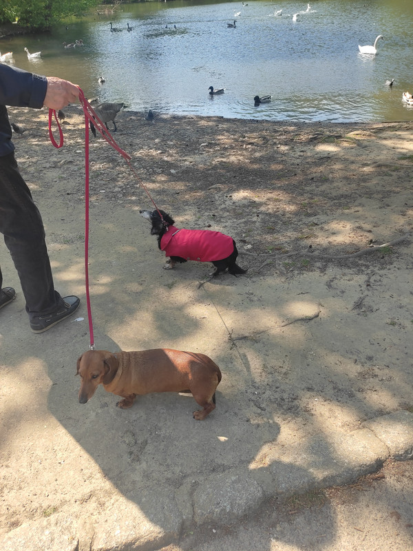 [Image: IMG-20250508-161608.jpg]