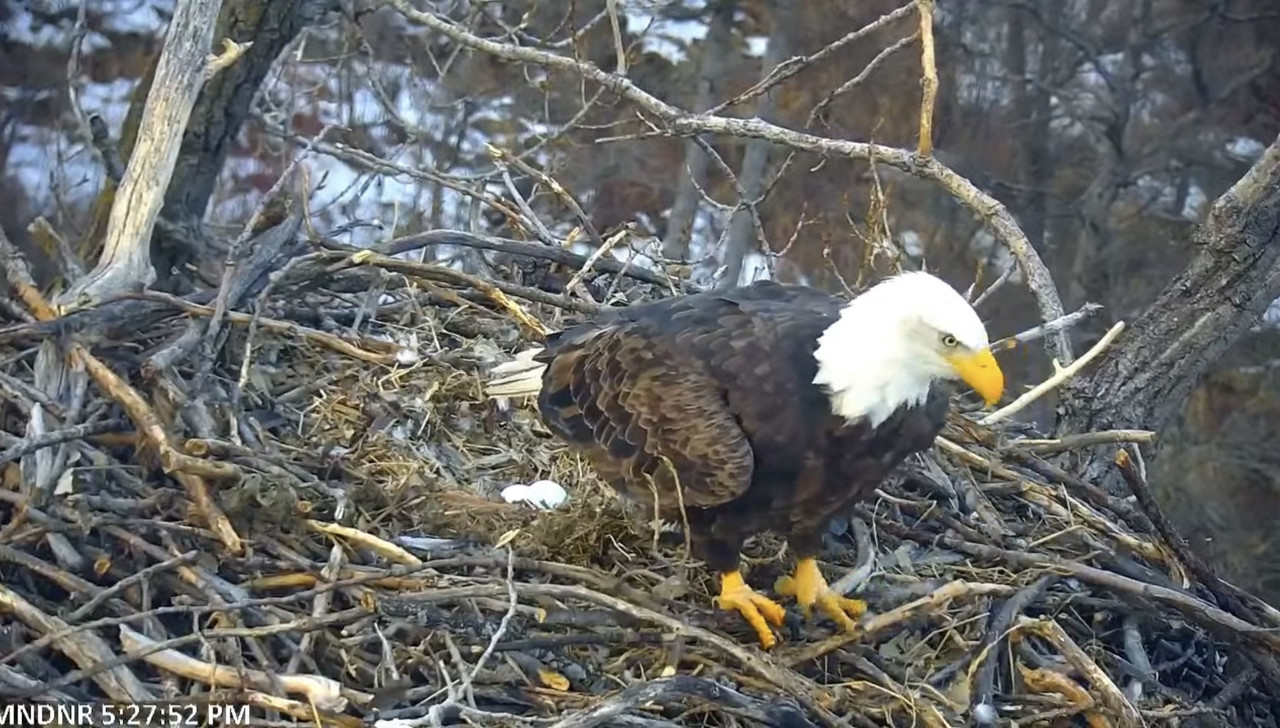 8ACDB8F0-7470-4244-866B-08F0194E9F75