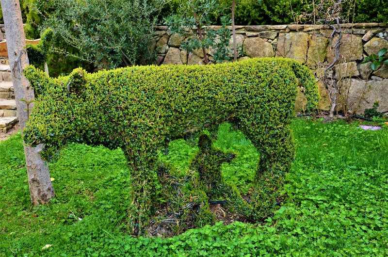 EL BOSQUE ENCANTADO-6-4-2013-MADRID - Paseando por España-1991/2015-Parte-1 (18)