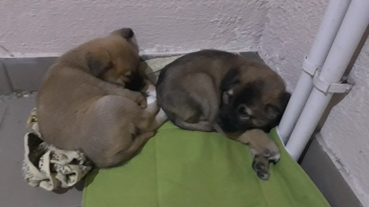 F0BB01D7-48C7-49D2-A05C-2888FE251AD1