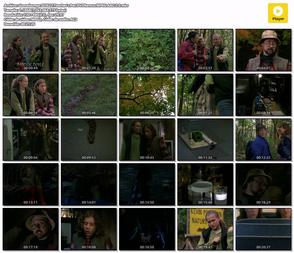 Goosebumps-S03E22-Teacher-s-Pet-DVDRemux-MPEG-AAC-2-0.jpg