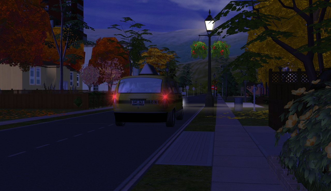 Sims2-EP9-2020-10-17-12-38-47-94