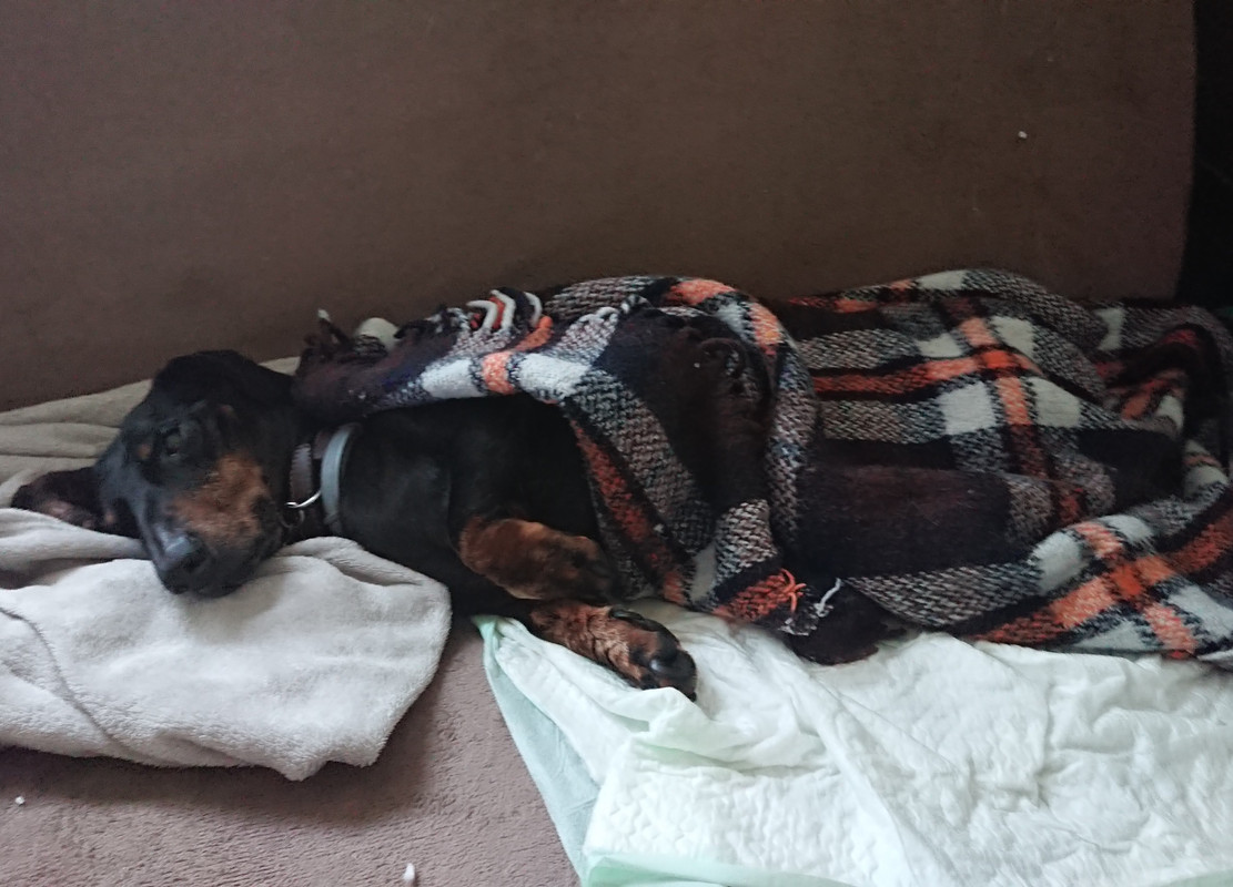 [Image: 20221014-084341.jpg]