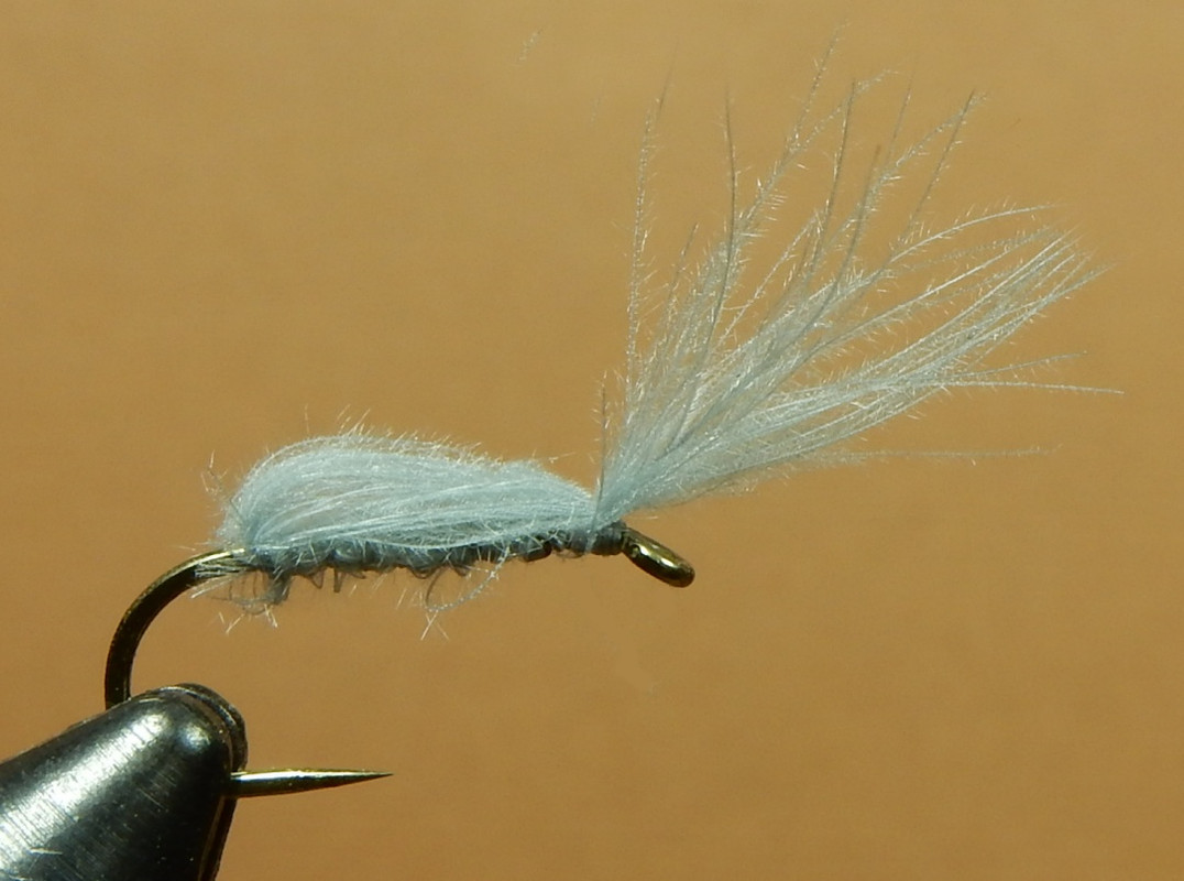 IOBO-Humpy-1080.jpg