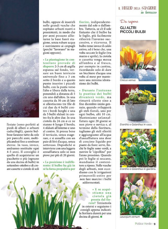 Pol Ver Gen 2023 (2)