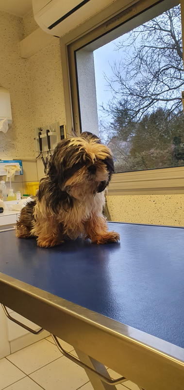 [Image: 20230309-180653.jpg]