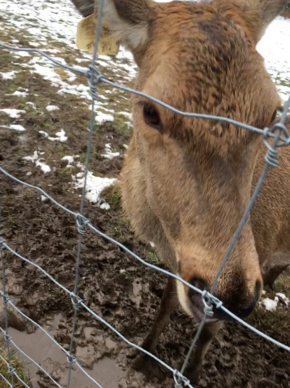 A52E27F5-25AE-4453-BFAF-276A551CF7FD