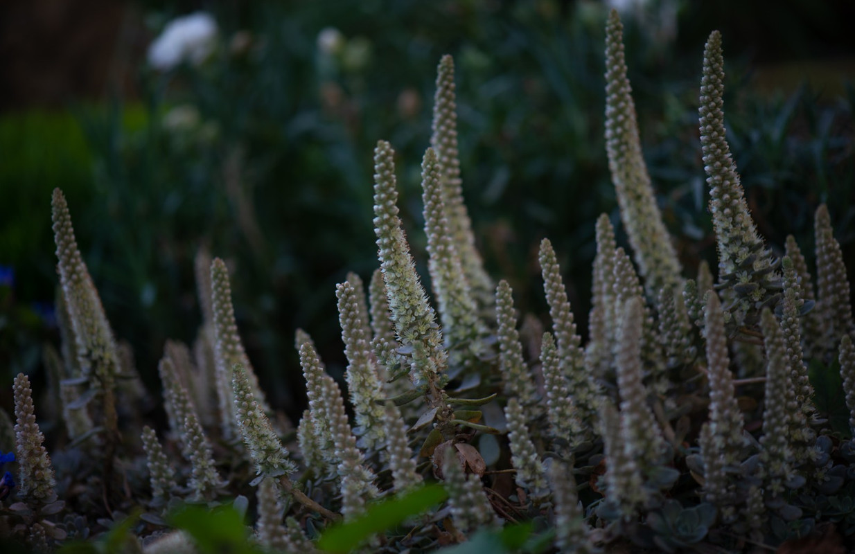 IMG-4e72120568d6d295ca3f28358f3da69c-V