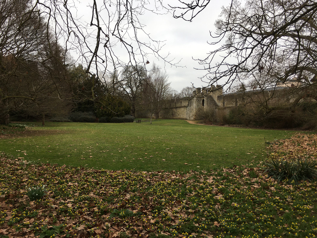 5E8BC8C0-4BA8-4942-8235-AD60F5D374B4