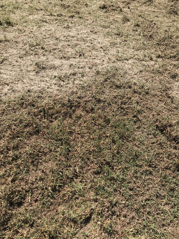 75C2F3B8-3686-4BCC-B9F1-CDE6189D61C3