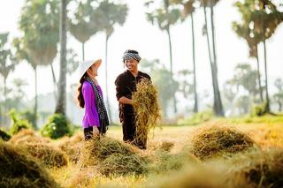DÒNG TRUYỆN THƠ VUI VỀ ĐỜI SỐNG, TÌNH CẢM & MƯU SINH...Của Nguyễn Thành Sáng&Tam Muội - Page 3 Tinngan-074937-356066677-21