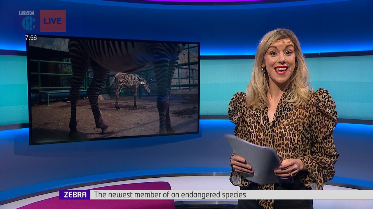 Newsround_20211025_07450755.ts_snapshot_12.07.527