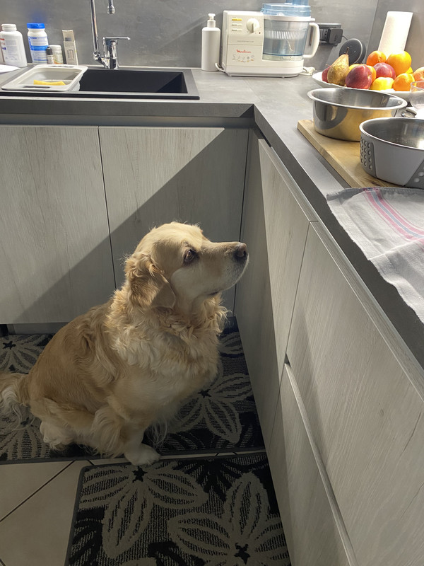 BC400545-66F2-4831-9D41-BCD949454888