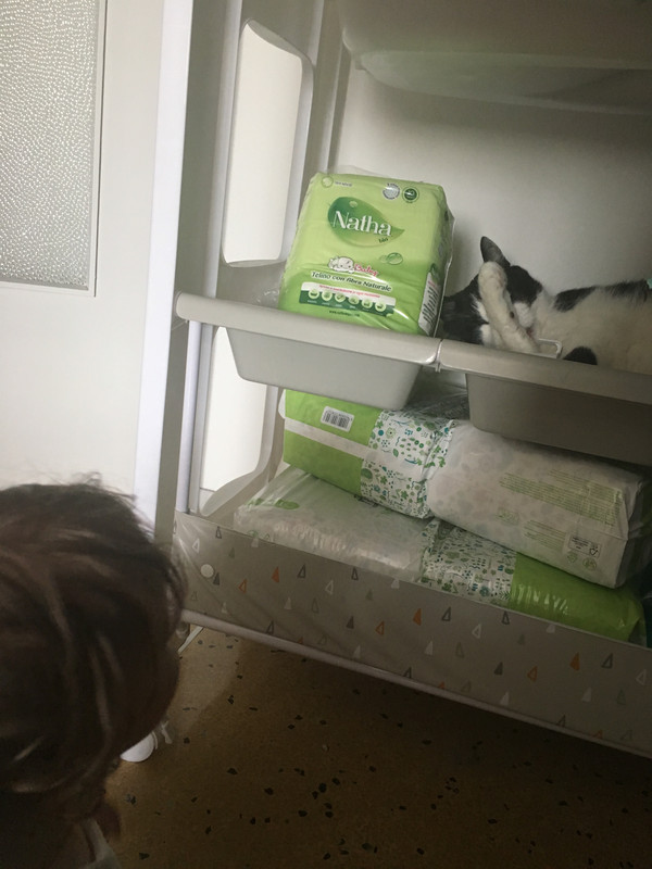 E7BCDA7F-5CC8-4F1A-ADA8-CF79C28B12A6