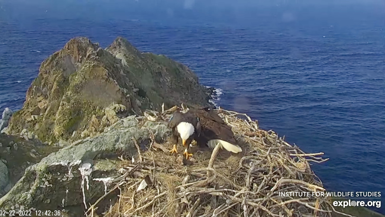 35AB232E-9454-449A-9309-CB2406BF4FFC