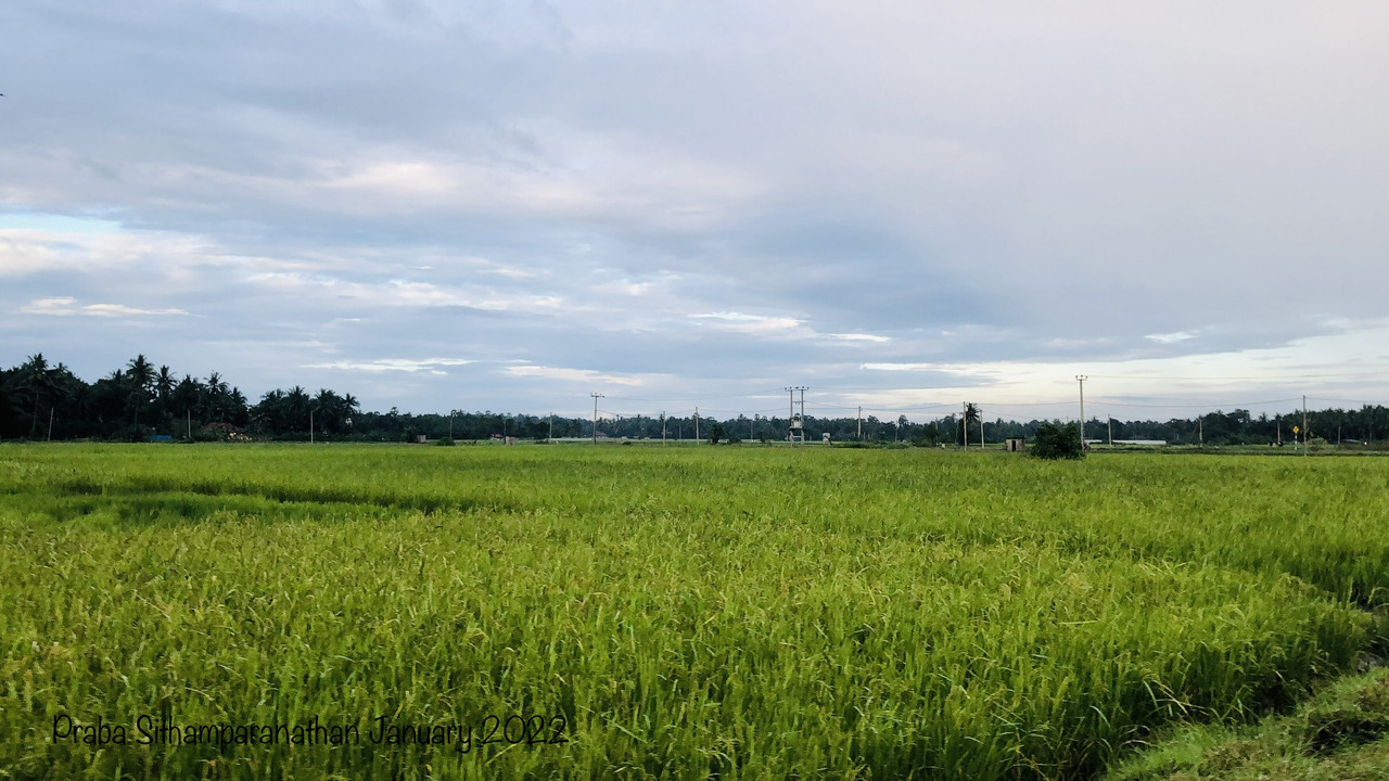 B9966-CC9-6241-4-BA4-9-EEB-5346-F48-A1-E