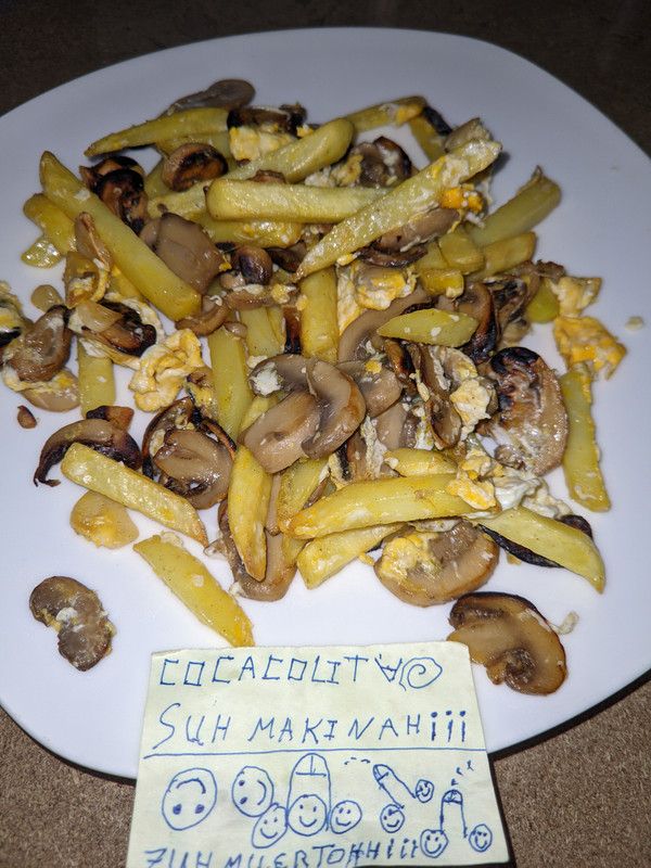 ⚛️antykat_v17_⭐_LMC_11TPro_20230429_155503067__storage_emulated_0⚛️antykat_v17_⭐_LMC_11TPro