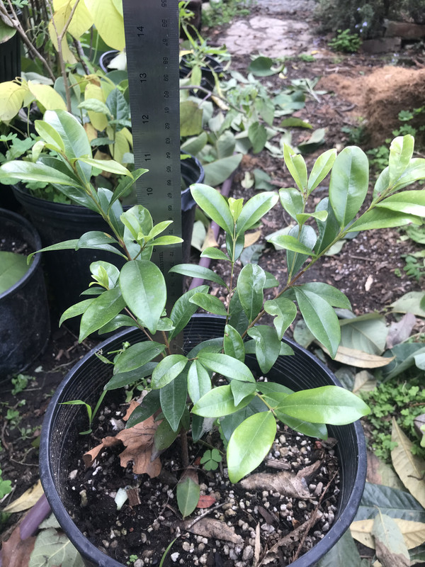 8F87792B-C4AF-400A-9D50-6BCB7E467AD2