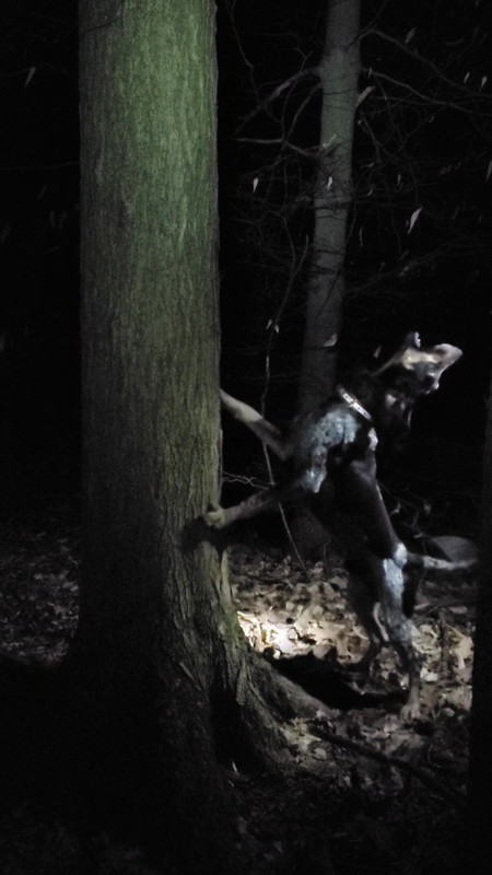 20200221_211228_1_Moment(6)