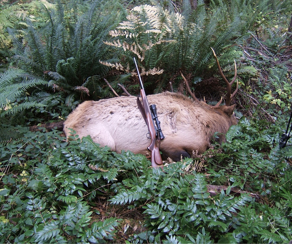 A53A86AA-A978-495B-A573-F4A4512E53A3