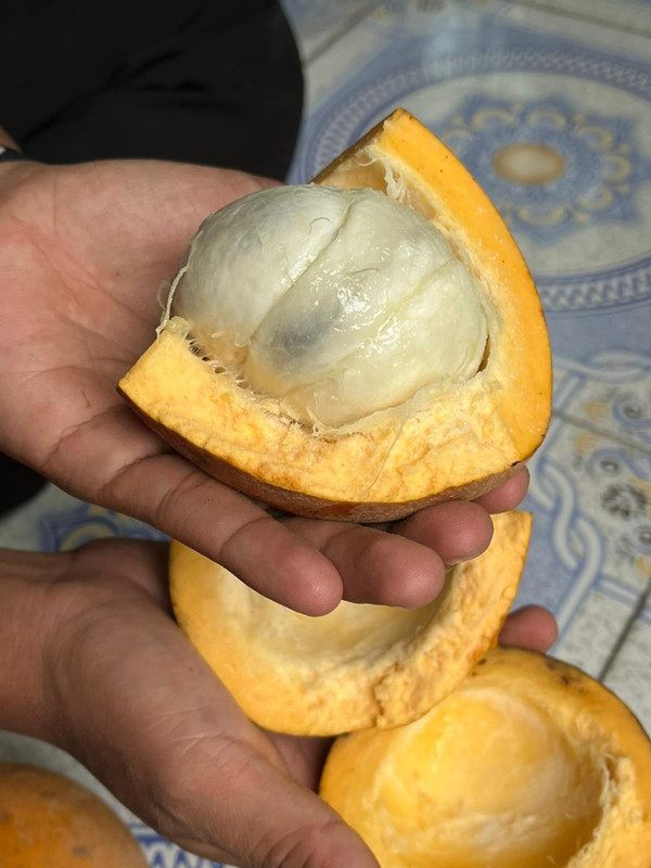 IMG 20260110 WA0026