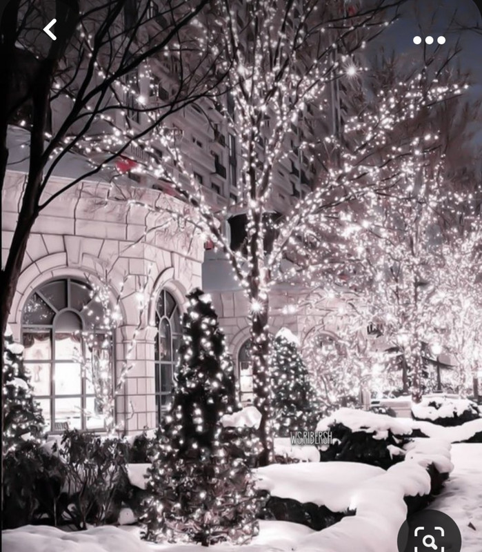 Screenshot_20231024_234704_Pinterest