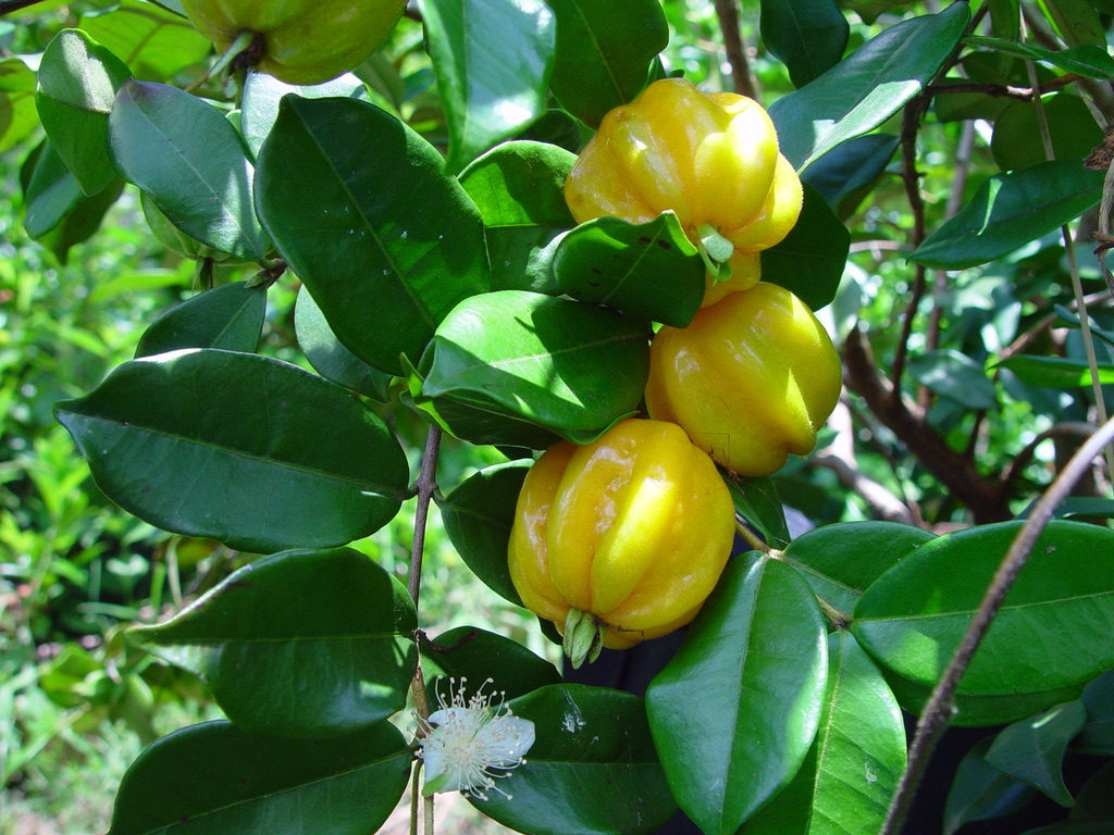 6D61E88A-05FA-4FFF-8D29-2EE72B782A59_1_105_c