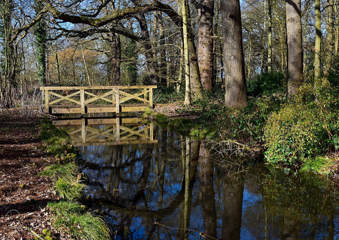 woods-bridge-HD.jpg