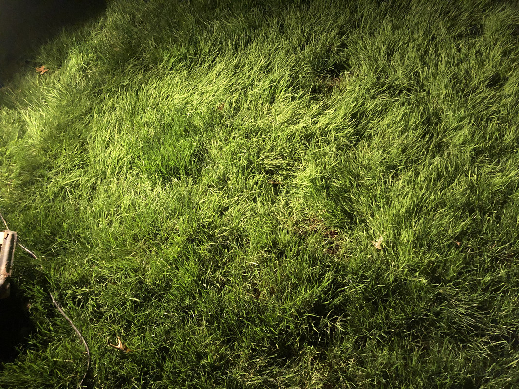 86CA72E4-F57A-4416-9230-A4E342BD6D3E