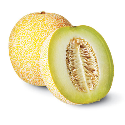 gallia melon