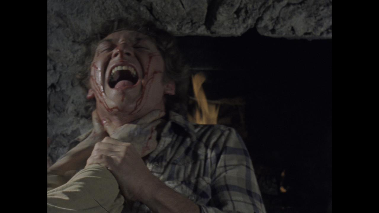 Ver Evil Dead 1981 Online Castellano