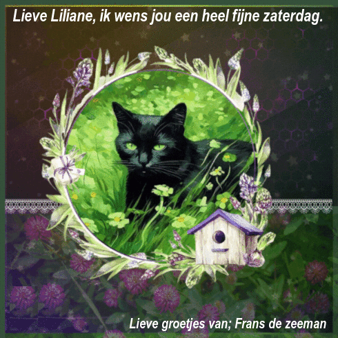 Image and video hosting by TinyPic