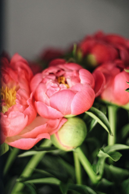 de51757c-91a7-4dd9-895b-353e55506994