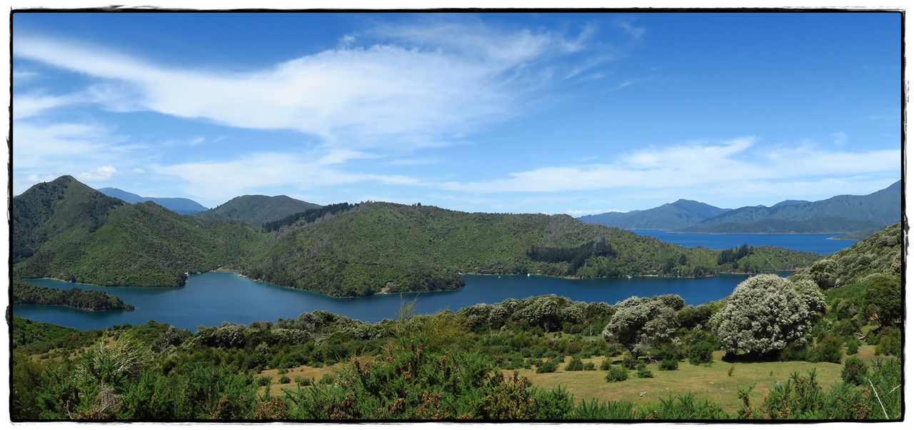 Escapadas y rutas por la Nueva Zelanda menos conocida - Blogs of New Zealand - Escapada a Picton (diciembre 2017): Queen Charlotte Track (16)