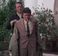 EDIT.gif
