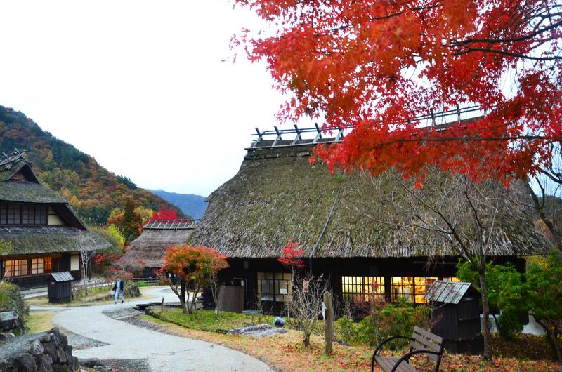 Saiko Iyashi no Sato Nenba-16-11-2024 - Japón y sus Pueblos-2024 (28)