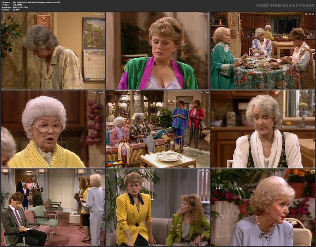 The Golden Girls S05E03 The Accurate Conception.mkv