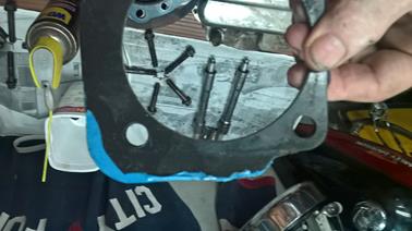 WP_20230323_16_33_07_Pro_LI (Copy)